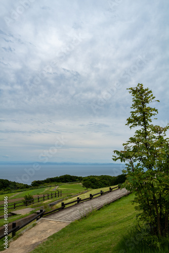 丘の上から見る木々と海と空の風景