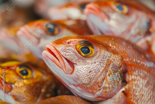 Fresh Mediterranean fish on sale at a Málaga market. Real Spanish cuisine.