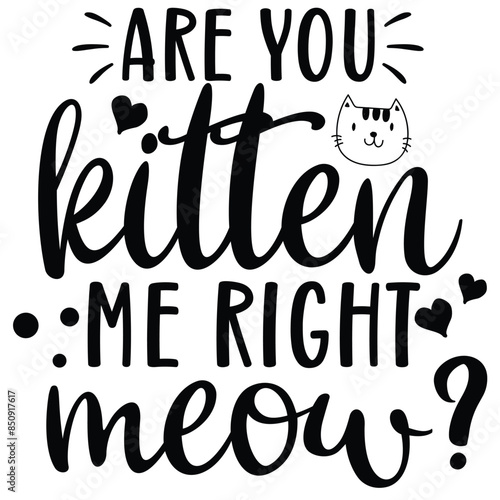 are you kitten me right meow
