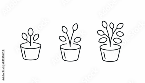 plant in pot growing icon