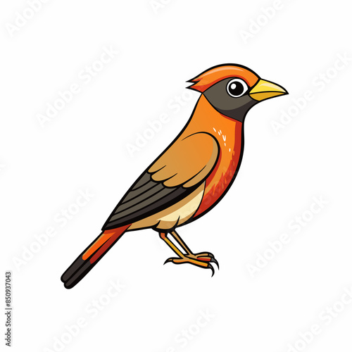 Bushshrike bird stands icon vector illustration