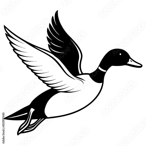 Pintail Duck flying  vector illustration svg file