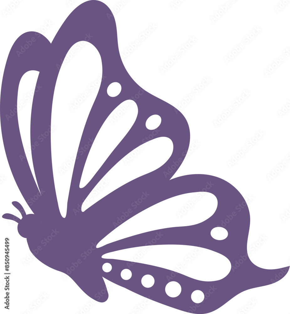 Obraz premium Butterfly