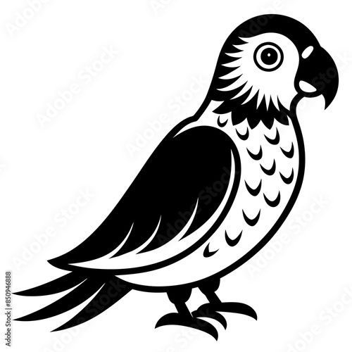 cute parrot vector illustration