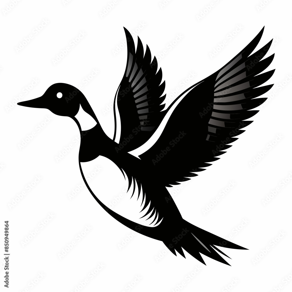 Obraz premium black and white duck