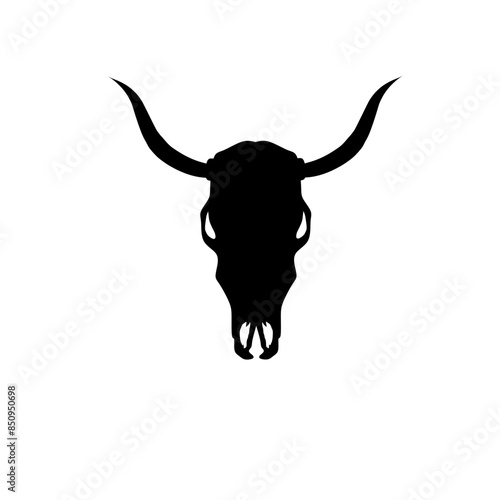 Longhorn Head Skull