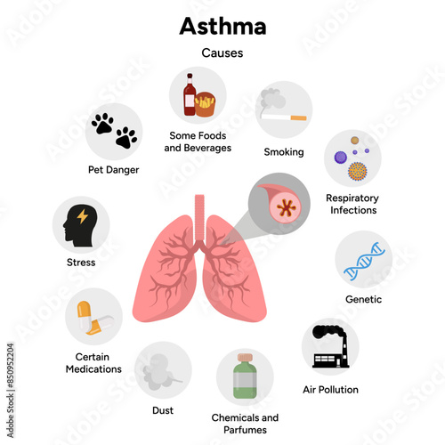 Asthmatic airways problem and main causes