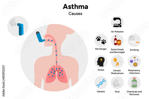 Human Asthma disease and main causes