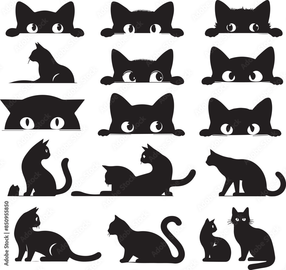 black and white cats set black and white cats set