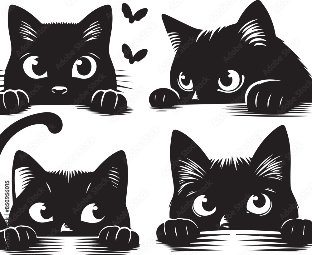 black and white cats set black and white cats set
