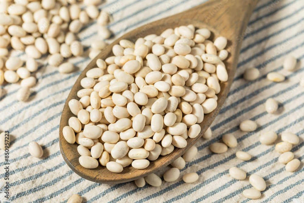 Fototapeta premium White Organic Raw Navy Beans