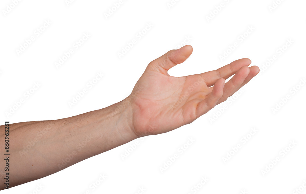 Hand palm open stretching reach outstretched. Empty give hold white gesture isolated. Help background, male body person people human concept. Man mature expressing expression, transparent cutout PNG Hand palm open stretching reach outstretched. Empty give hold white gesture isolated. Help background, male body person people human concept. Man mature expressing expression, transparent cutout PNG