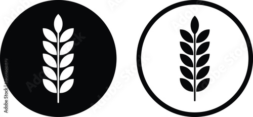 Wheat ears icon set in two styles . Spike wheat icon . Vector illustration