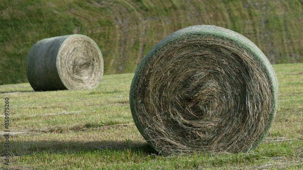 Hay Harvest in the Foothills of the Appalachian Mountains Hay Harvest in the Foothills of the Appalachian Mountains