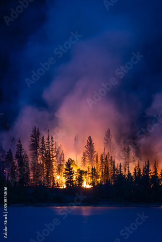 Forest fire near Interlaken, Twin Lakes, Colorado. 