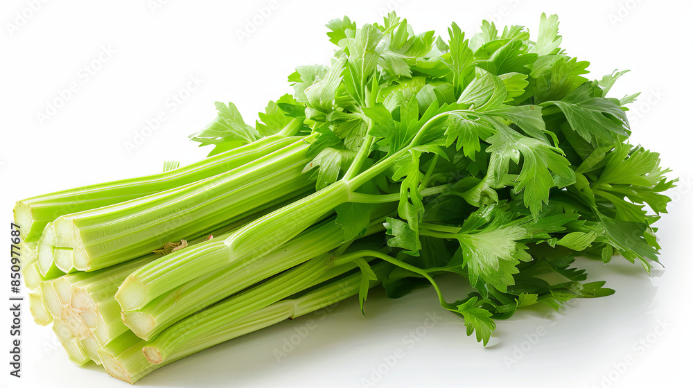 Celery isolated on white background Celery isolated on white background