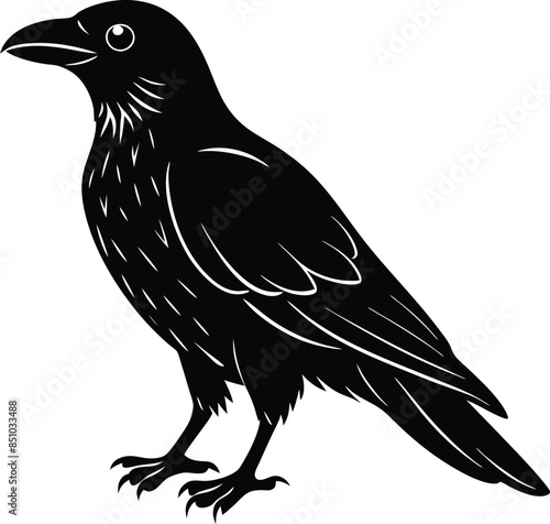 raven black and white illustration vector