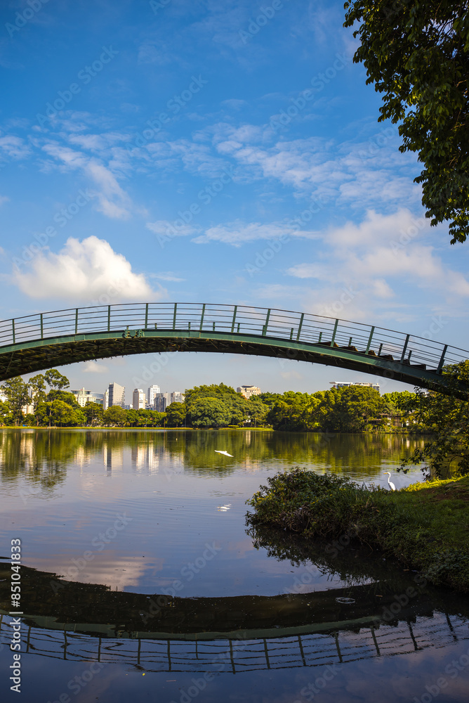 Fototapeta premium Tranquil Lake and Bridge in Ibirapuera Park - São Paulo, Brazil