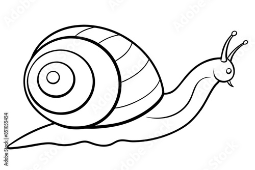 outline giant African land snail anima vector illustration