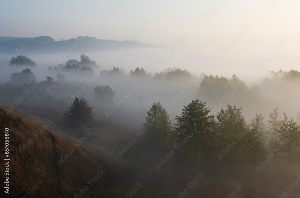 Fog over trees and hills, natural autumn background. Fog over trees and hills, natural autumn background.