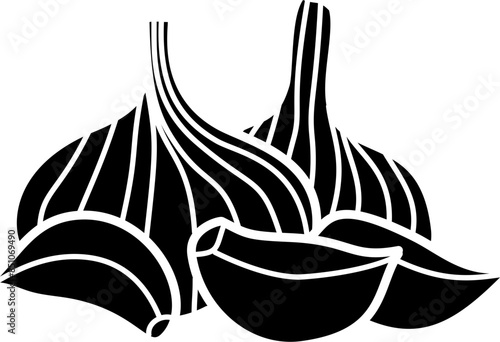 Garlic illustration vector