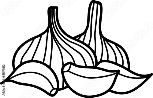 Garlic outline illustration vector
