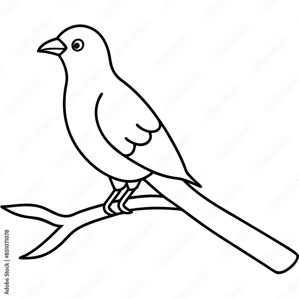 Obraz premium dove of peace