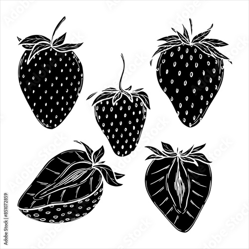 Vector strawberry silhouette illustrations set, hand drawn botanical outline drawing, monochrome strawberry icon. Design element for background, pattern, packaging, icon, logo.