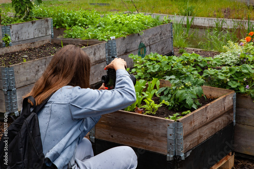 Woman Photographing Plants In A Community Garden