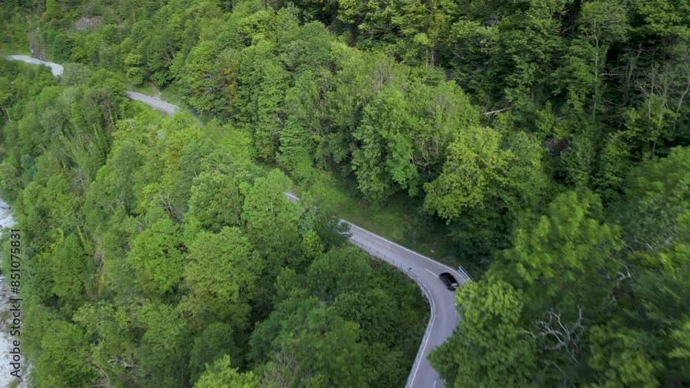 Aerial View of Winding Road Through Lush Green Forest Aerial View of Winding Road Through Lush Green Forest