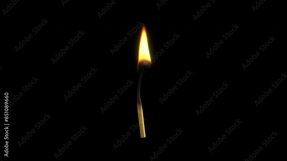 Burning match close-up on black background. Seamless loop. Burning match close-up on black background. Seamless loop.