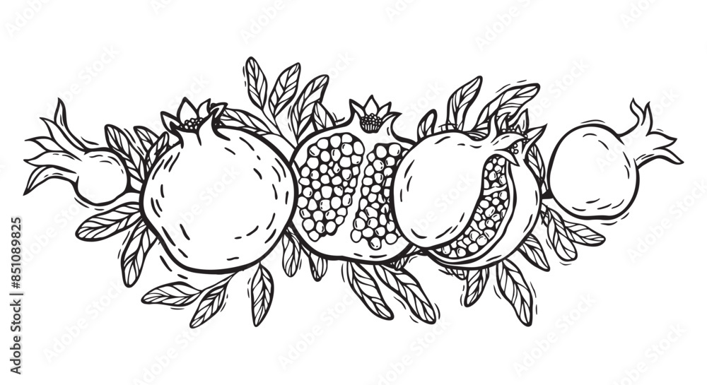 Obraz premium Pomegranate halves and whole fruits with seeds and leaves. Vector botanical black and white illustration, hand drawn in linocut style. Drawing for packaging design, menus, recipes, postcards.
