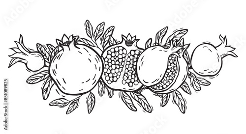 Pomegranate halves and whole fruits with seeds and leaves. Vector botanical black and white illustration, hand drawn in linocut style. Drawing for packaging design, menus, recipes, postcards.