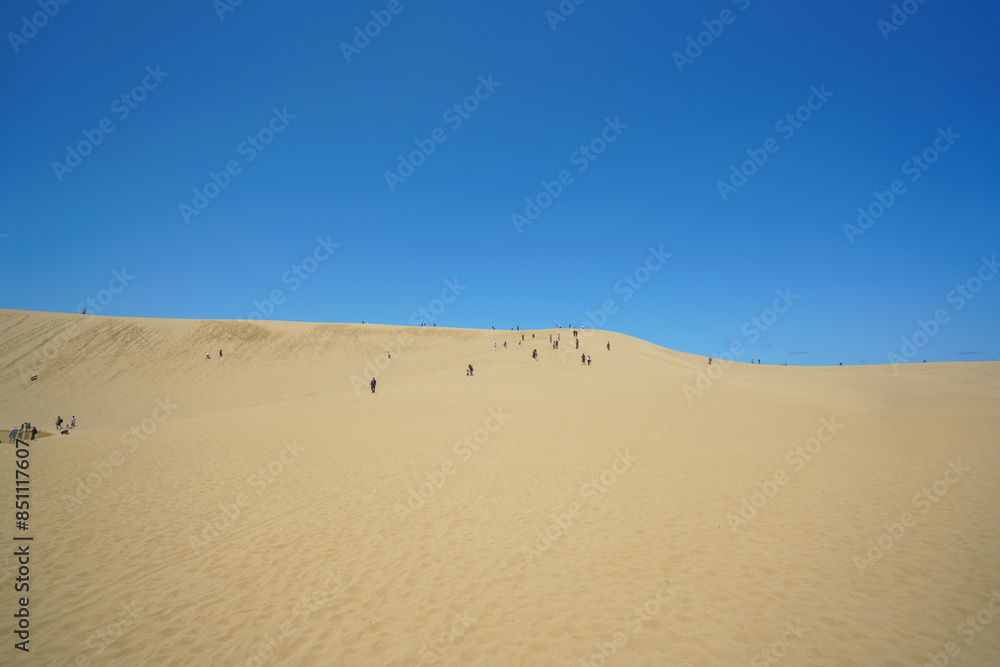 Tottori Sand Dunes Landscape under Clear Blue Sky Tottori Sand Dunes Landscape under Clear Blue Sky
