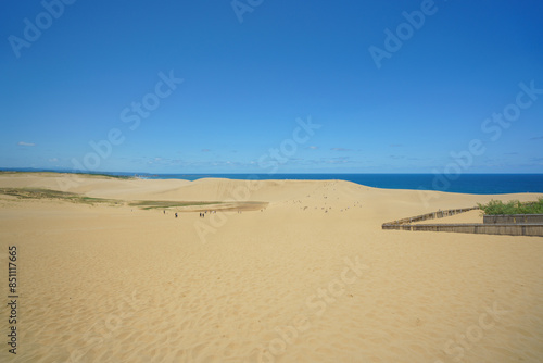 Fototapeta Naklejka Na Ścianę i Meble -  Tottori Sand Dunes Landscape under Clear Blue Sky