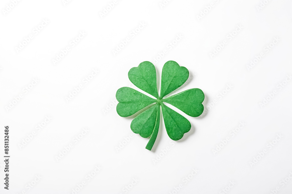 Closeup of a Four-Leaf Clover on a White Background Closeup of a Four-Leaf Clover on a White Background