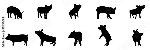 pig silhouette illustration  background for a pet day
