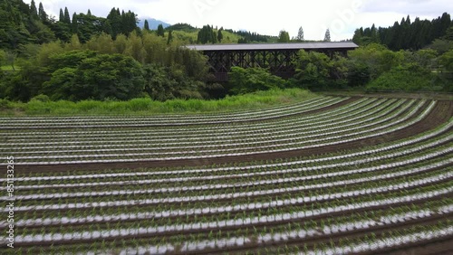 熊本県阿蘇市波野地区にある阿蘇望橋、日本でも珍しい屋根付きの車道橋とたばこ畑の風景