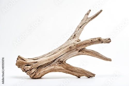 Weathered Driftwood Branch Isolated on White Background © Rysak