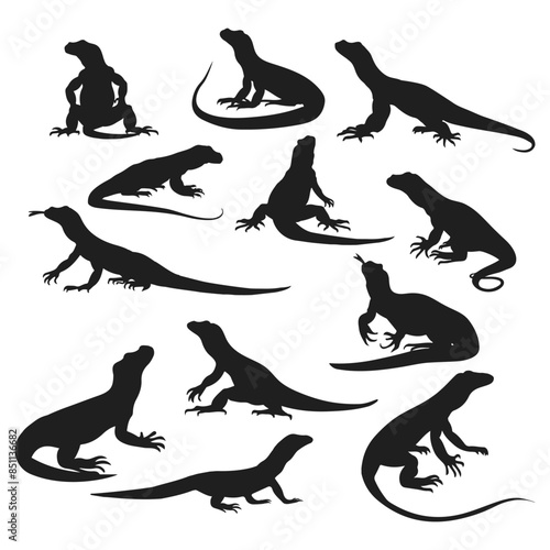 komodo dragon silhouette Vector