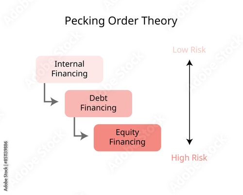 Fotografie pecking order theory display the following preference of sources to fund investm