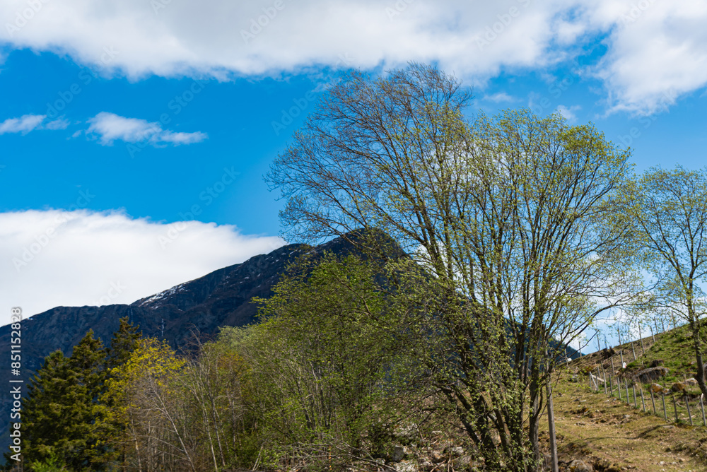 Skjolden - Norway - May 16 - 2023 - Mountain Skjolden - Norway - May 16 - 2023 - Mountain