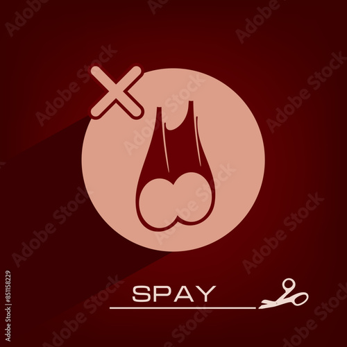 Poster about spay