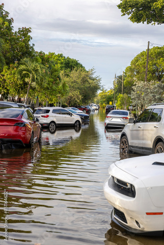 Wallpaper Mural These images show the 2024 Hallandale Beach flood aftermath. Residential streets and cars are submerged, reflecting the severe impact of flooding on communities and highlighting the need for recovery  Torontodigital.ca