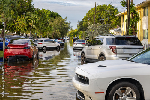 Wallpaper Mural After the 2024 Hallandale Beach flood, cars are stranded on a submerged street. The floodwaters reflect trees and buildings, highlighting the severe impact on the community and the need for recovery. Torontodigital.ca
