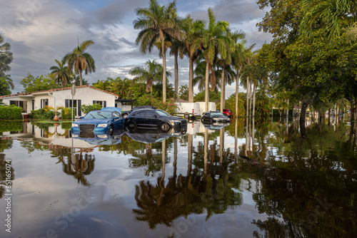 Wallpaper Mural These images show the 2024 Hallandale Beach flood aftermath. Residential streets and cars are submerged, reflecting the severe impact of flooding on communities and highlighting the need for recovery  Torontodigital.ca