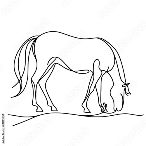 one horse grazes in a meadow, simple vector lines and a minimum of details, a feeling of calm and silence of nature.