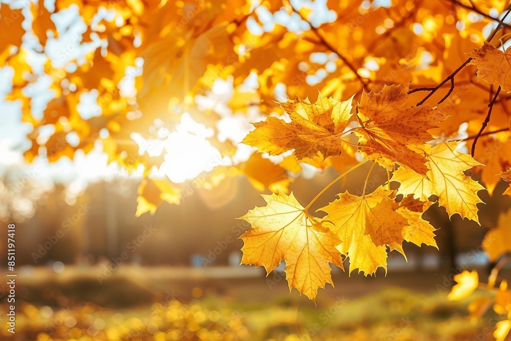 Yellow maple leaves during autumn season with warm sunlight from behind. Fall park on blurry background. Beautiful nature scene. generative ai. Yellow maple leaves during autumn season with warm sunlight from behind. Fall park on blurry background. Beautiful nature scene. generative ai.