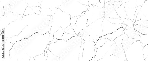 Vector marble pattern with white and black cracks Transparent texture.