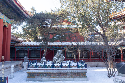 snow view of winter Forbidden City photo